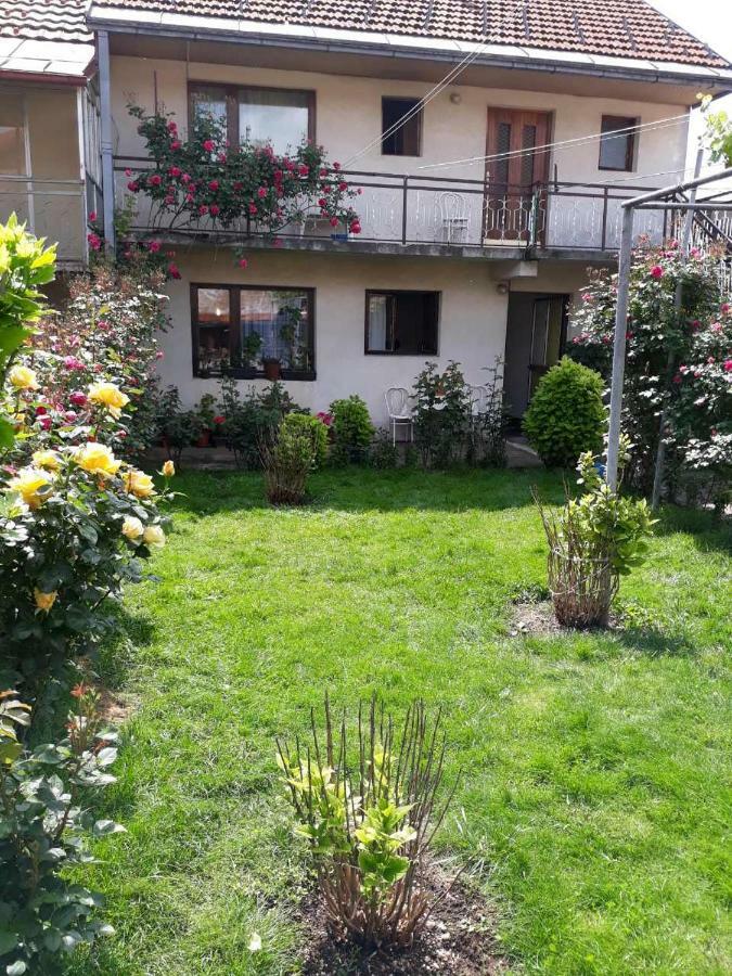 Apartment Dejan Cetinje Exterior foto